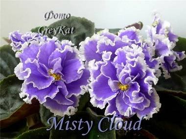 MistyCloud2