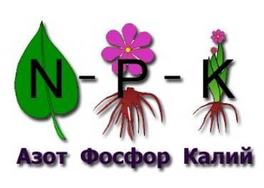 NPK
