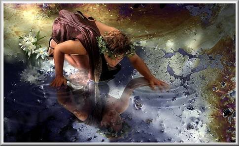 Narcissus14