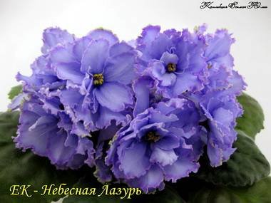 НебеснаяЛазурь3