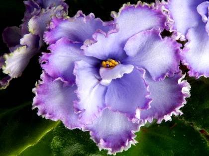 НебеснаяЛазурь7