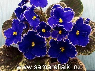 НебеснаяСинь3