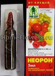 Неорон2