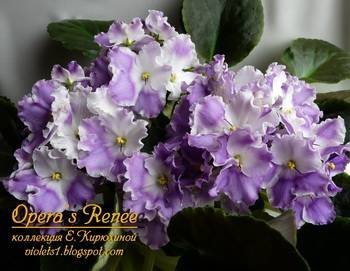 Opera'sRenee3