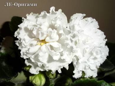 Оригами4