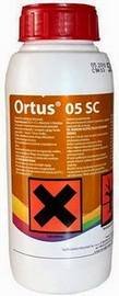 Ortus