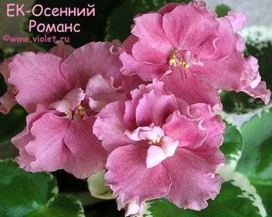 ОсеннийРоманс2