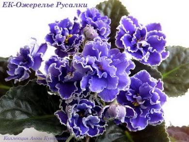 ОжерельеРусалки4