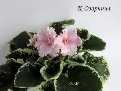 Озорница7