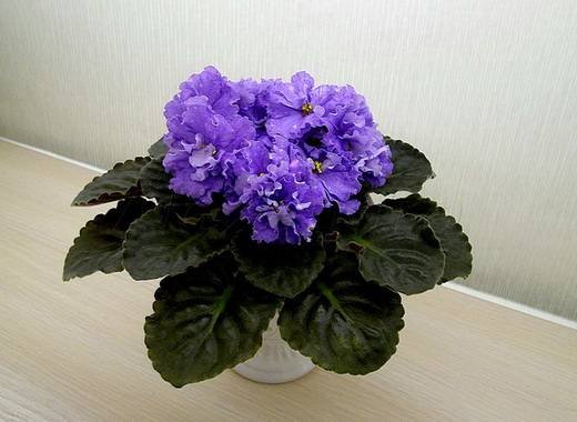 Падеде6