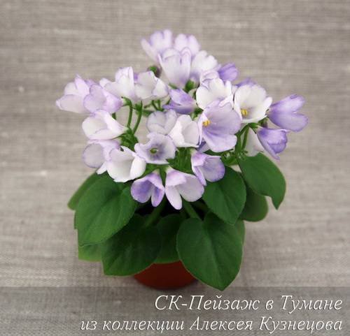 ПейзажВТумане6