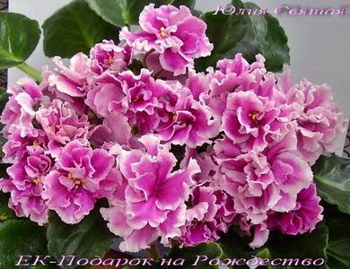 ПодарокНаРождество8