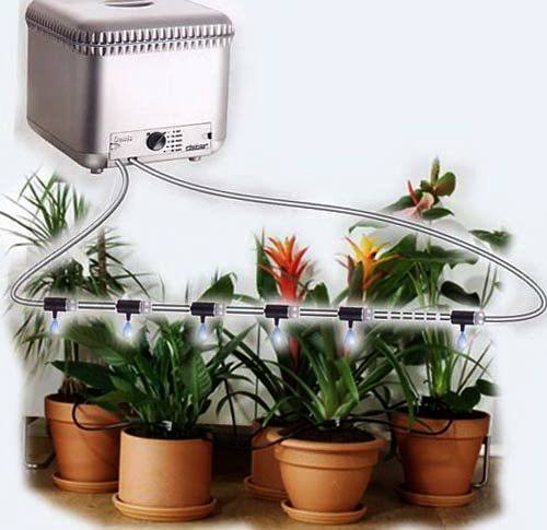 PolivВОотпуске4