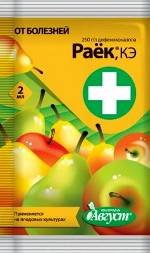 Раек2