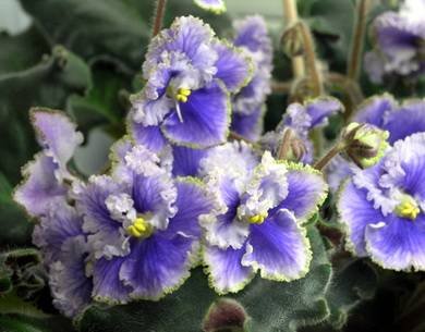 РасколотоеНебо3