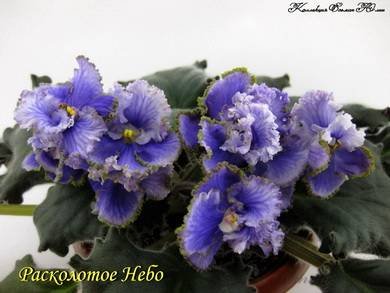 РасколотоеНебо4