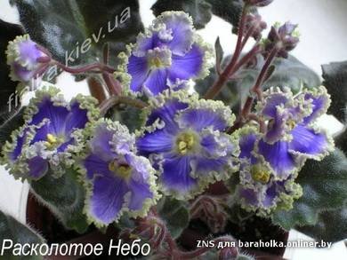 РасколотоеНебо5