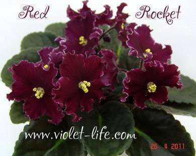 RedRocket3