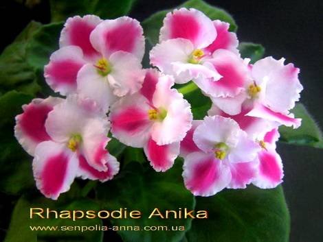 RhapsodieAnika1