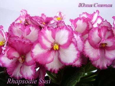 RhapsodieSusi7