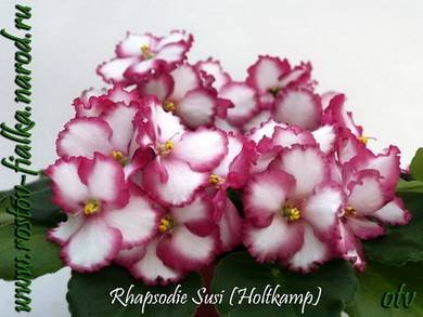 RhapsodieSusi8