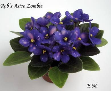 Rob'sAstroZombie8