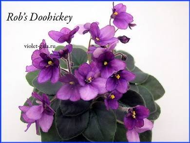 Rob'sDoohickey8