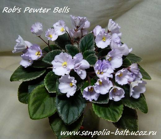 Rob'sPewterBells5