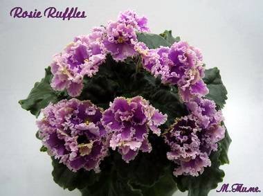 RosieRuffles2