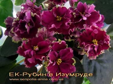 РубинВИзумруде8