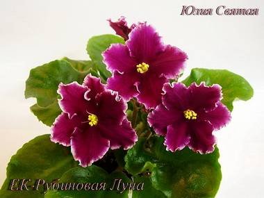 РубиноваяЛуна5