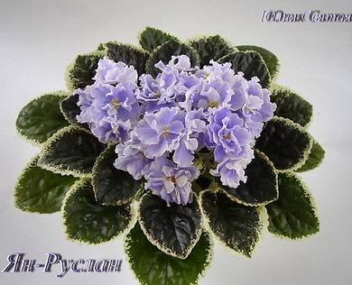 Руслан7