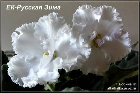 РусскаяЗима4