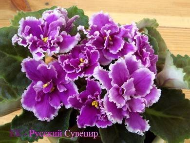 РусскийСувенир3