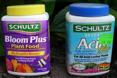 Schultz2
