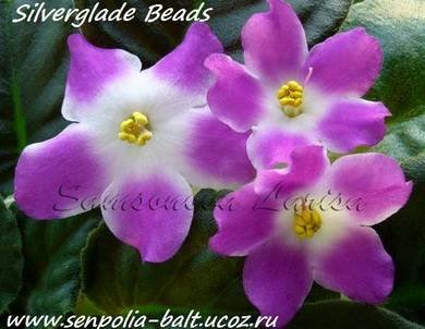SilvergladeBeads8