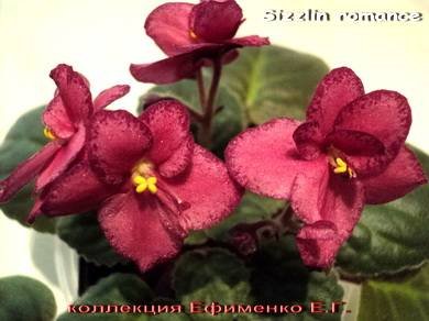 SizzlinRomance3