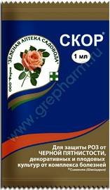 Скор1