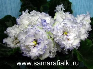 СнегВАпреле2
