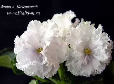 СнежноеКружево5