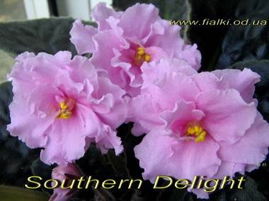 SouthernDelight5