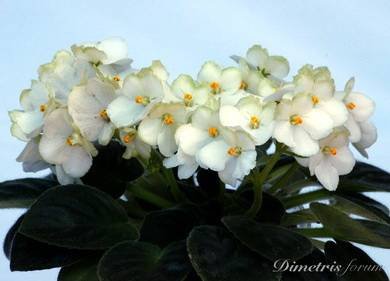 SpringPromise3
