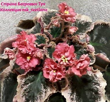 СтранаБагровыхТуч5