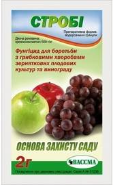 Строби1