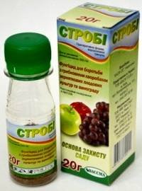 Строби2