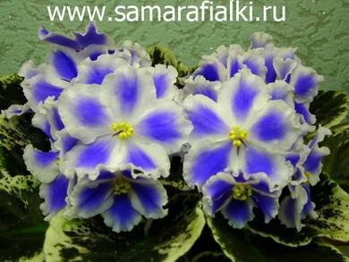 Султан2