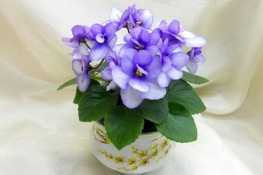 ТанецЖуравля6