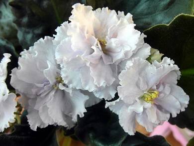 ТатьянинДень3