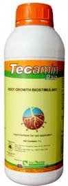 Tecamin-Raiz1