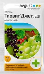 ТиовитДжет1